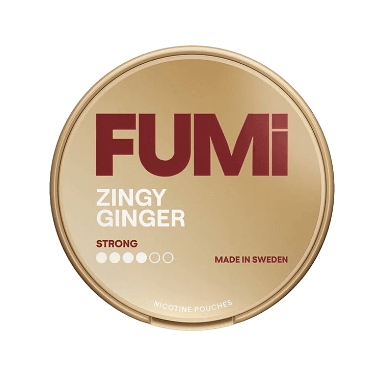 Fumi Zingy Ginger