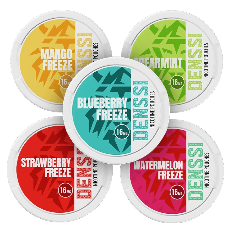 Denssi Bundle Bundle B