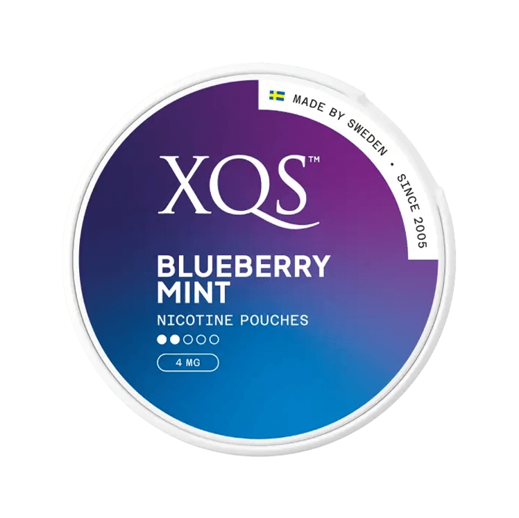 XQS Blueberry Mint