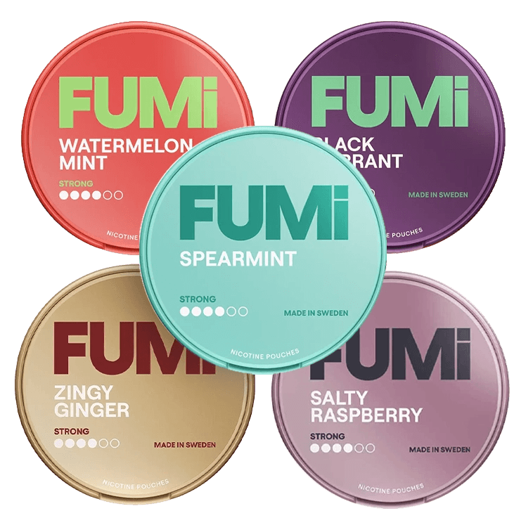 FUMi Bundle Bundle B