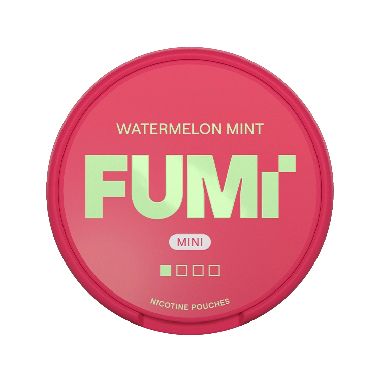Fumi Watermelon Mint Mini