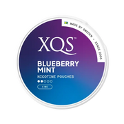 XQS Blueberry Mint 4mg