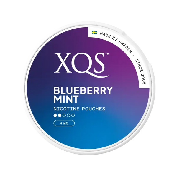 OUTLET XQS Blueberry Mint