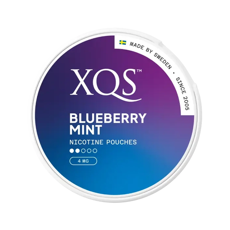 XQS Blueberry Mint 4mg
