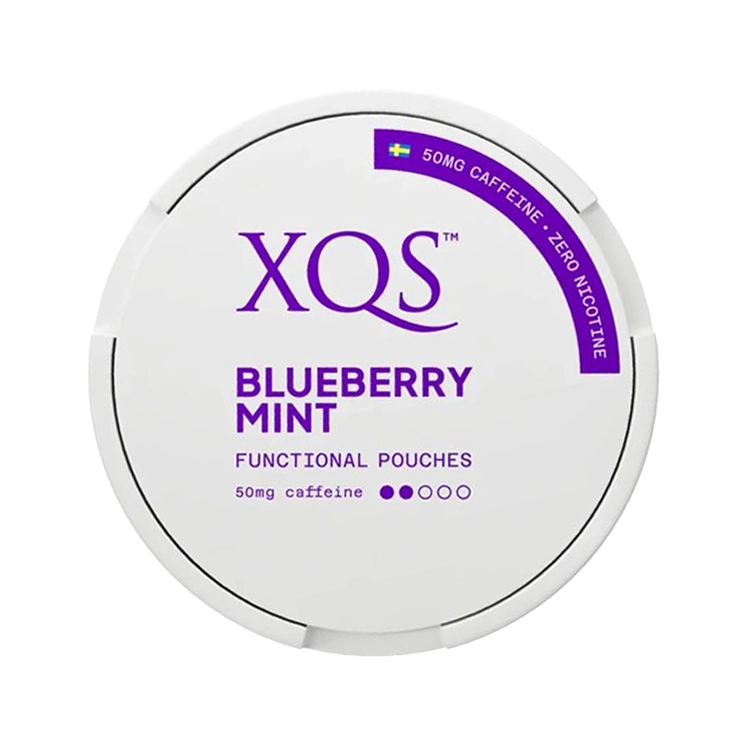 XQS Functional Blueberry Mint