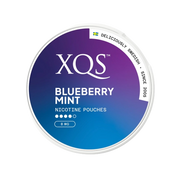 XQS Blueberry Mint 8mg