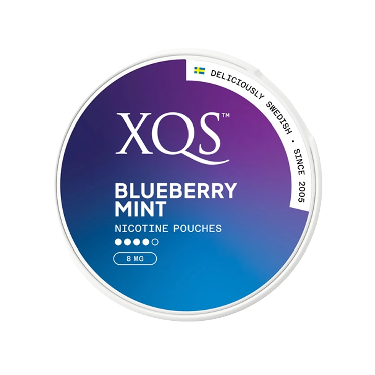 XQS Blueberry Mint 8mg